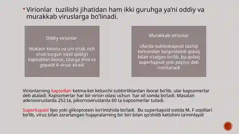 Umumiy virusologiya va bakteriofaglar 4