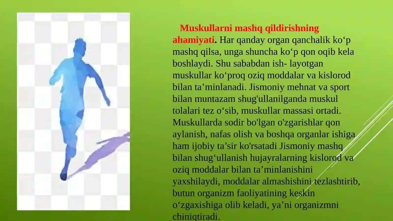 Muskullarning rivojlanishi 4