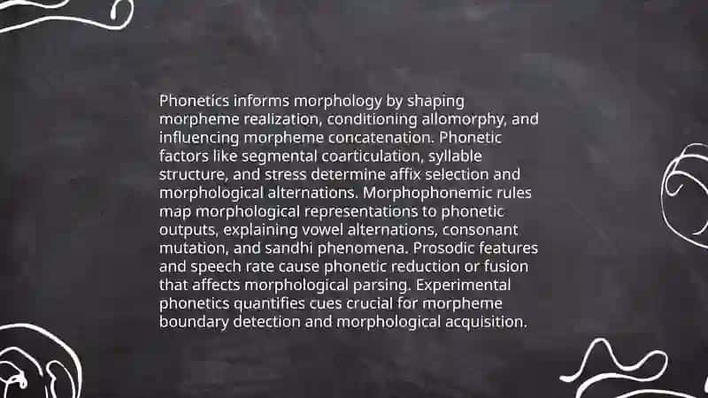 The relationship of phonetics with other branches of linguistics 4