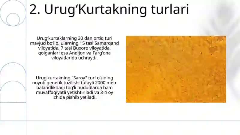 Urug`kurtakning tuzilishi va tiplari 4