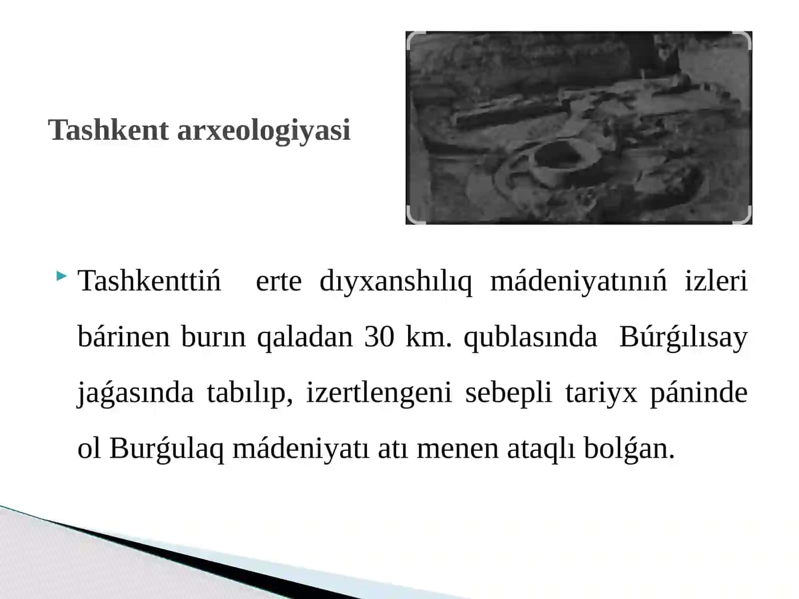 Tashkentu’lkesi Tawha’mestelikleri 4