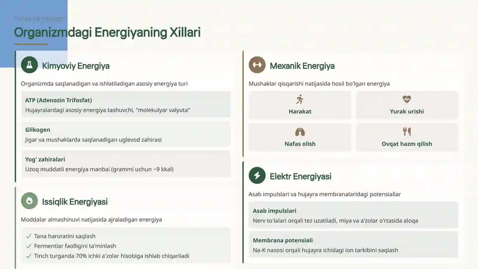 Modda va Energiya 4
