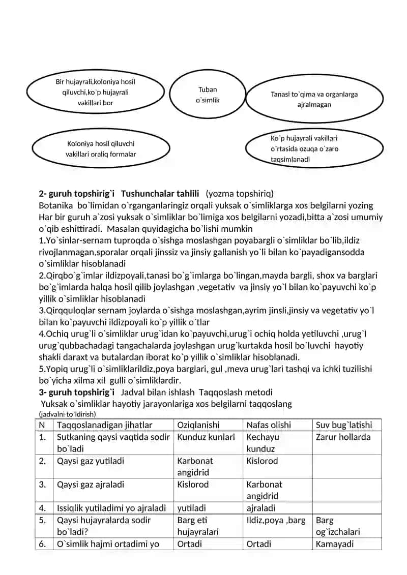 Zamburug`lar dunyosi 4