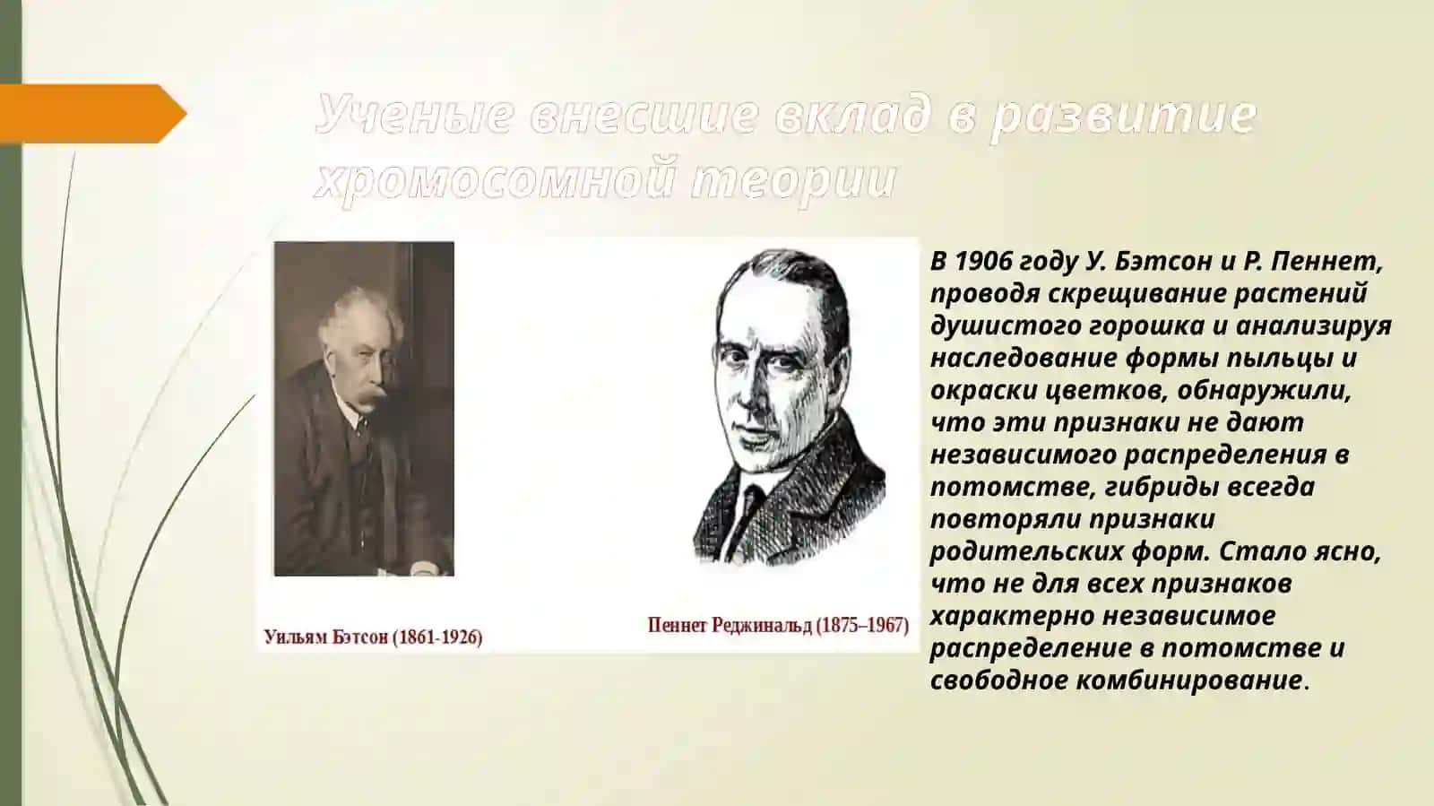 Хромосомная теория наследственности 4