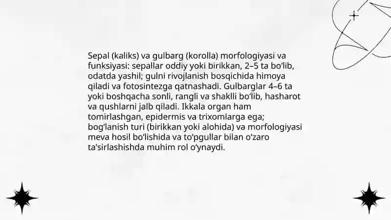 Gulning tashqi va ichki tuzilishi 4