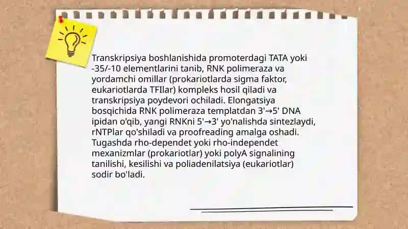 Irsiyatning molekulyar asoslari 4