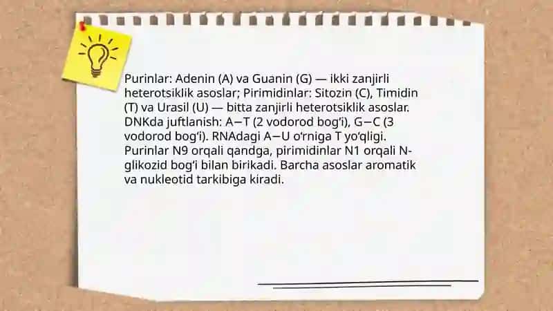 Nuklein kislotalar tarkibi va tuzilishi 4