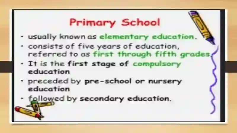 Education system in Uzbekistan, Great Britain and USA 4