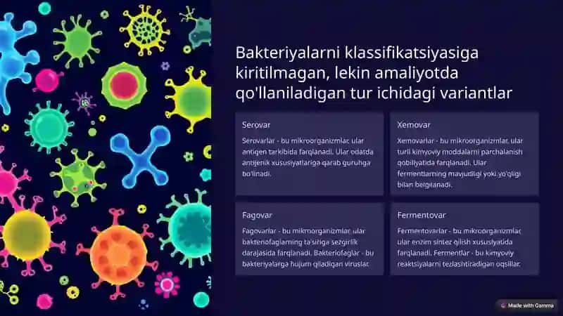 Mikroorganizmlar haqida chuqurroq ma'lumot 4