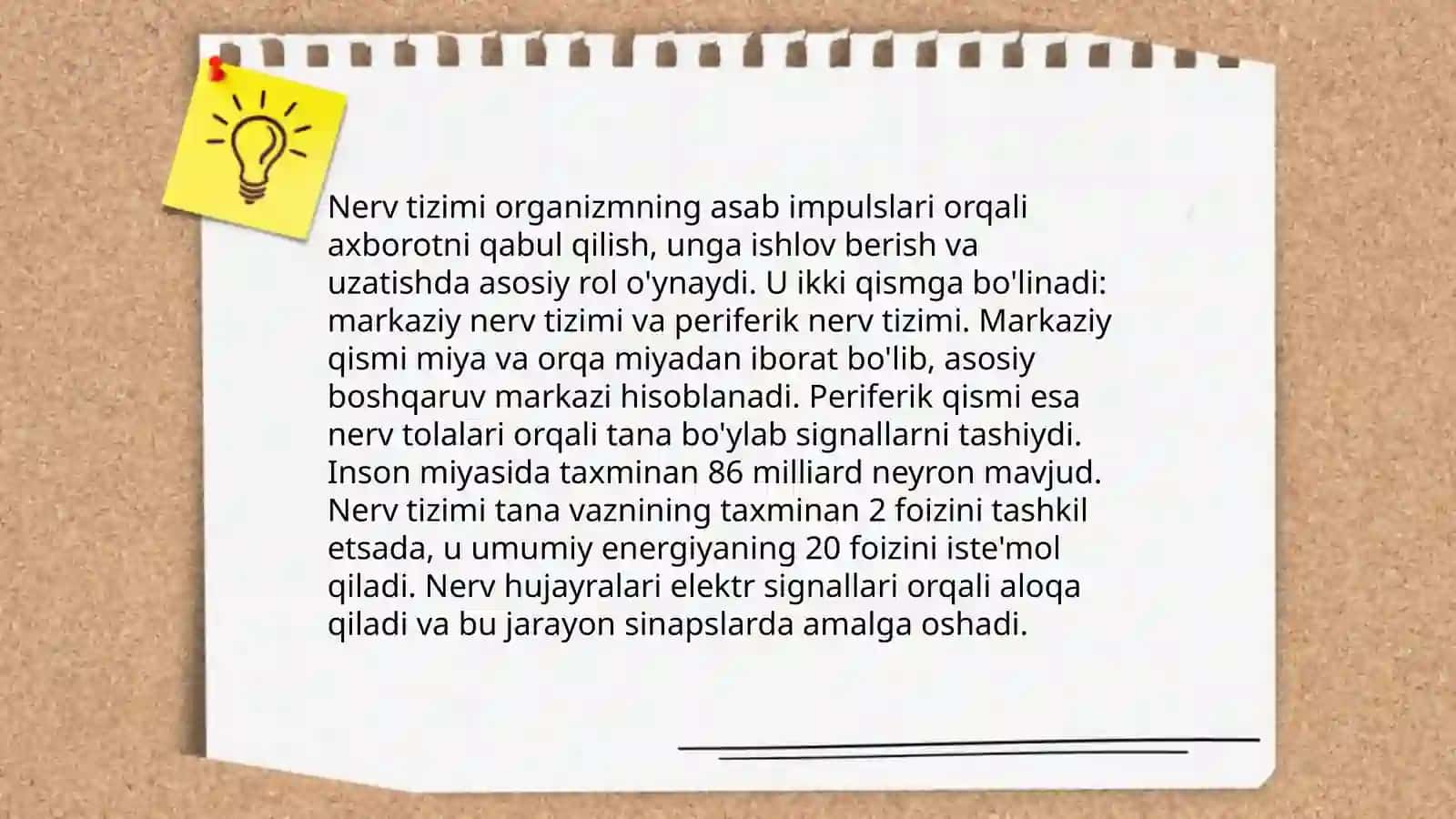 Odam biologiyasi 4