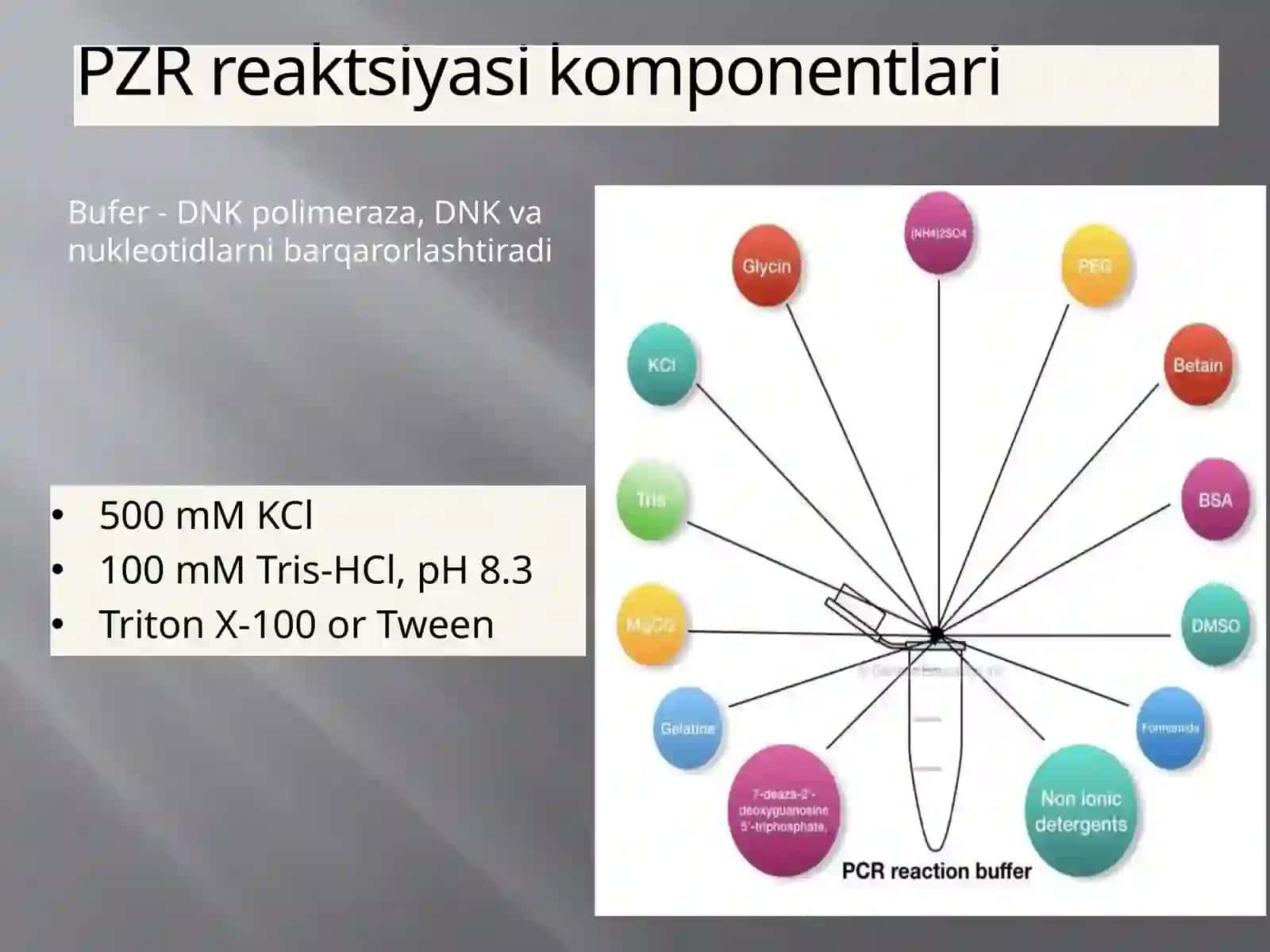 PZR reaktsiyasi komponentlari 4