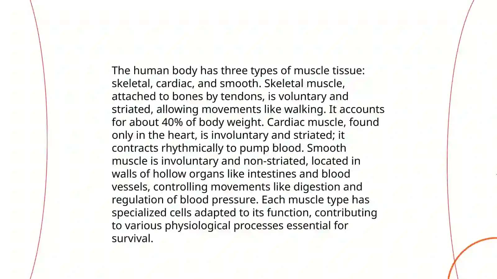 Muscular system of a human being 4