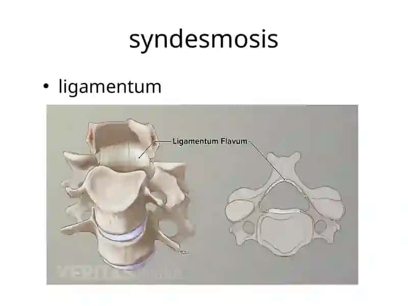 Umumiyartrologiya 4