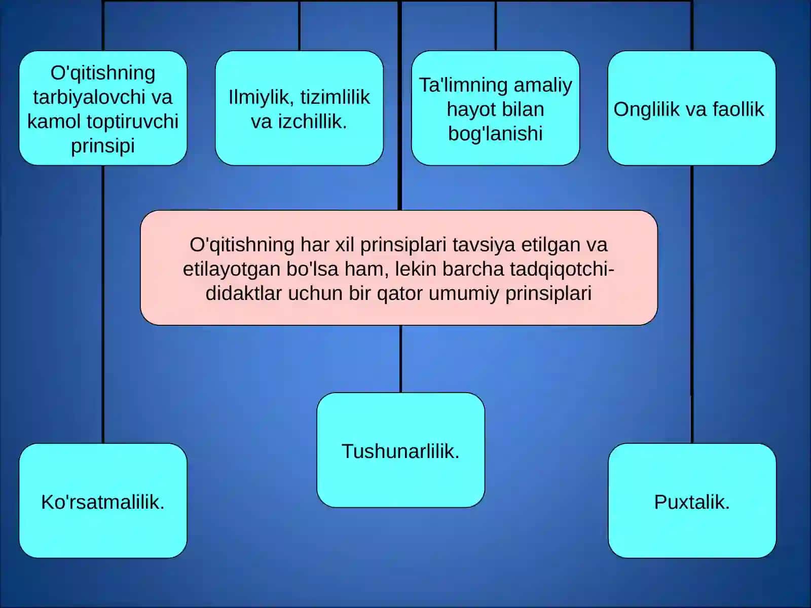 Ta'lim qonuniyatlari va tamoyillari 4