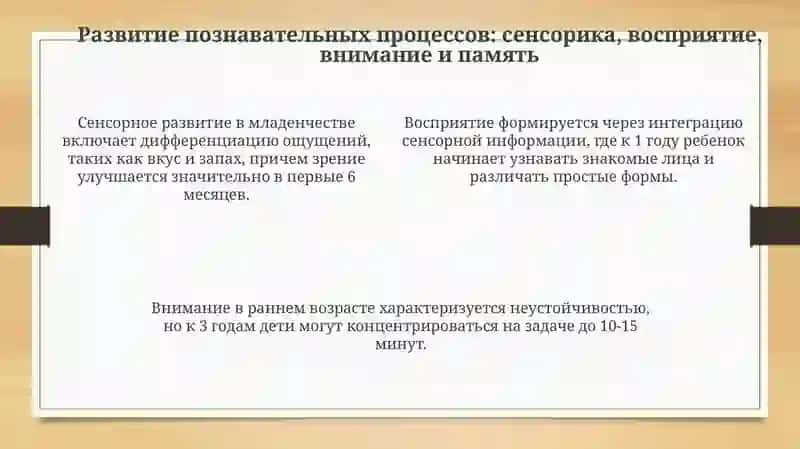 Особенности психического развития на ранних этапах онтогенеза 4