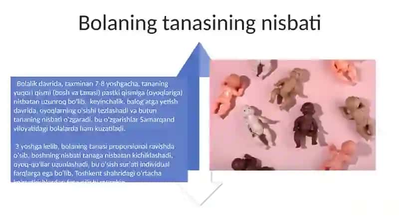 Bolalar gavda tuzilishining xususiyatlari 4