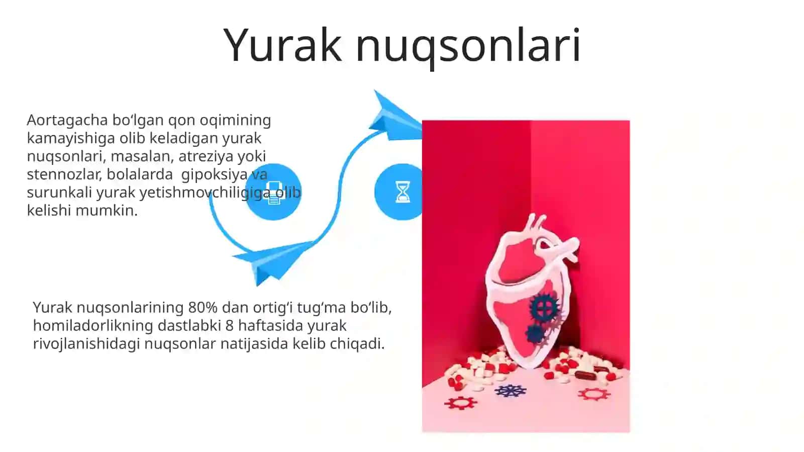 Yurakning tuzilishi va kasalliklari 4