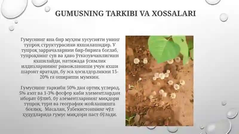 Tuproqning gumusi va unumdirligi 4