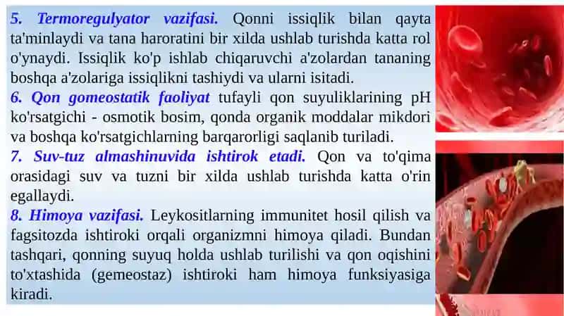 Qonfiziologiyasi 4