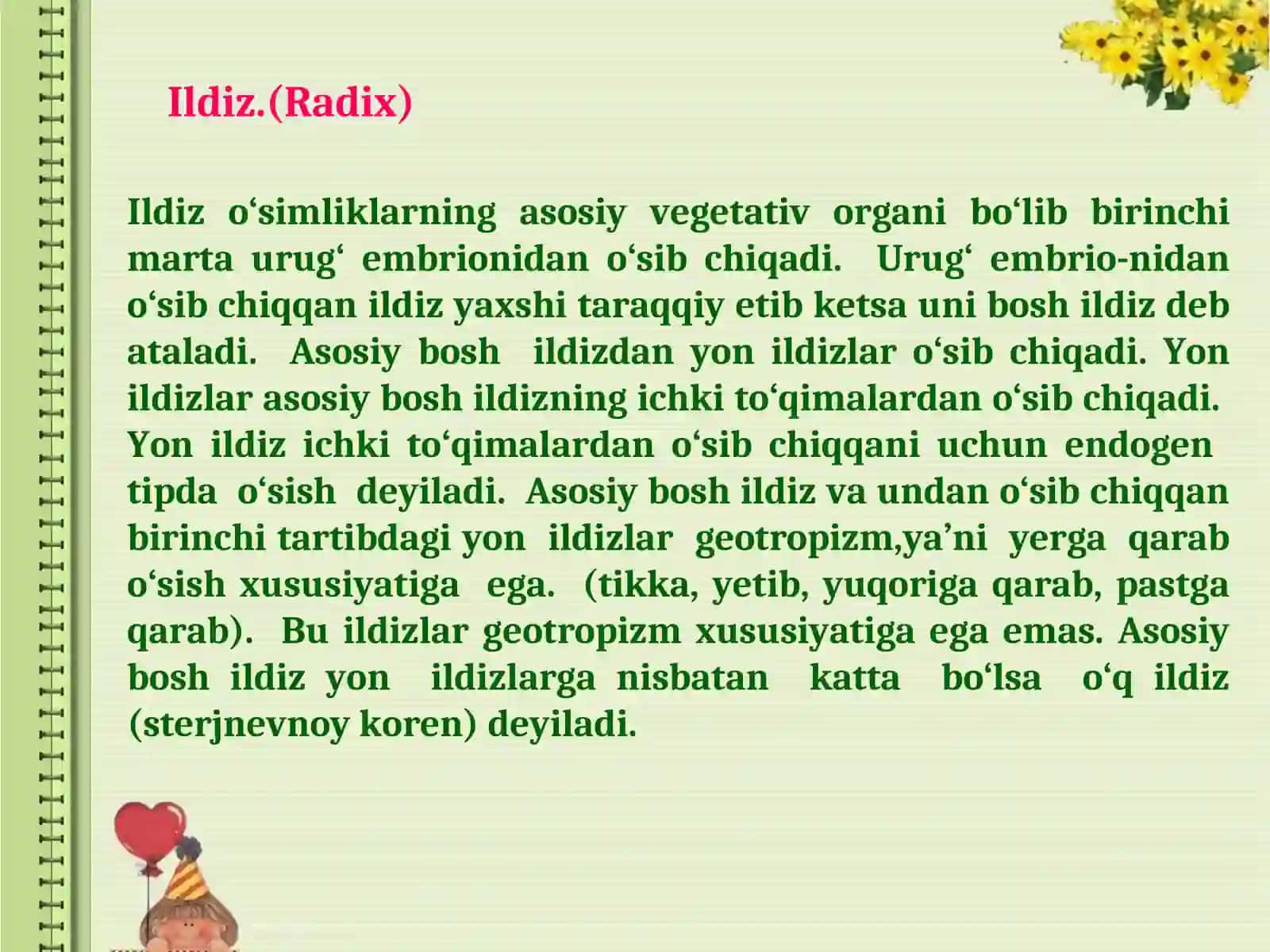 O‘simlik organlari 4