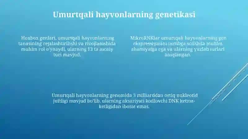 Umurtqalilarning kelib chiqishi 4