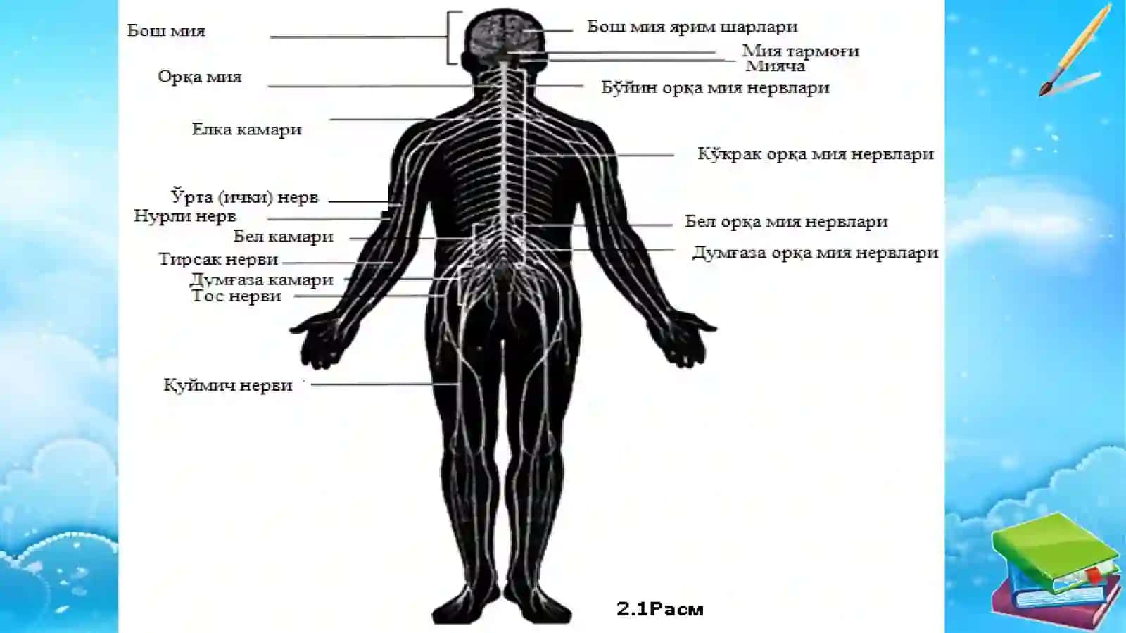Hulq-atvorningpsixofiziologikasosi 4