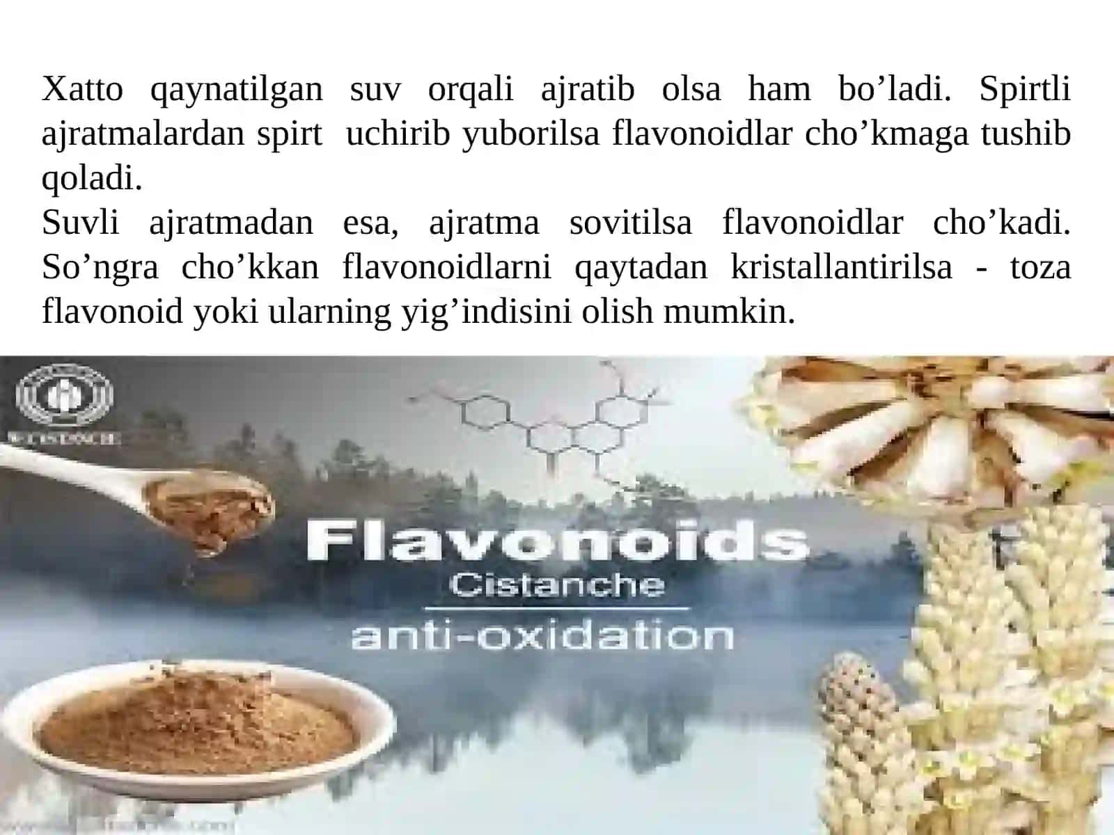 Flavonoidlar haqida umumiy tushuncha, tasnifi 4