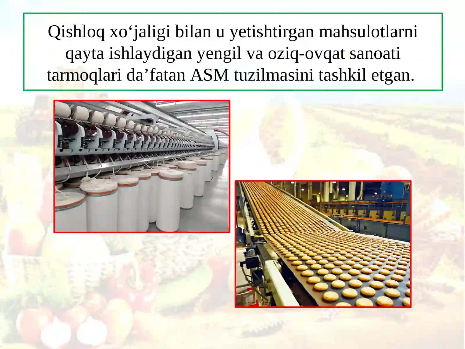 AGROSANOATMAJUMASI 4