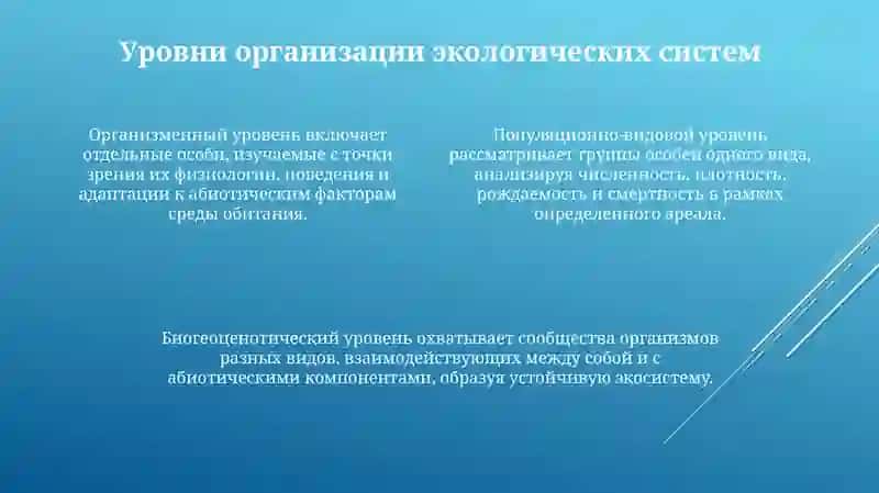Понятие об экологии 4