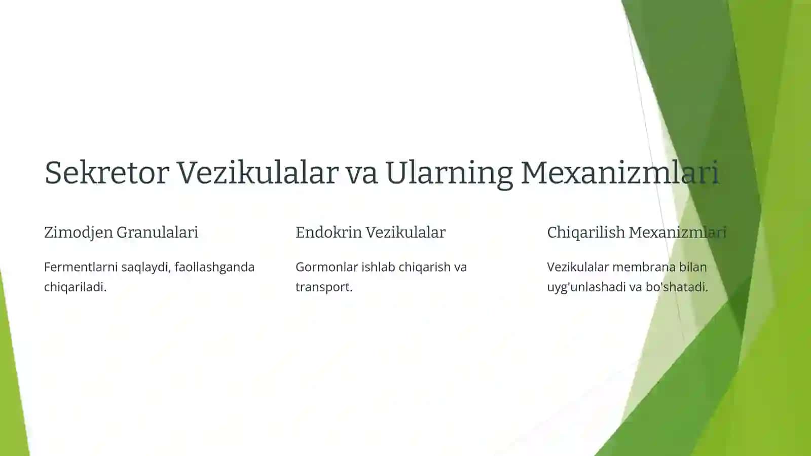 Bez Sekretsiyasining Ultrastrukturaviy Asoslari 4