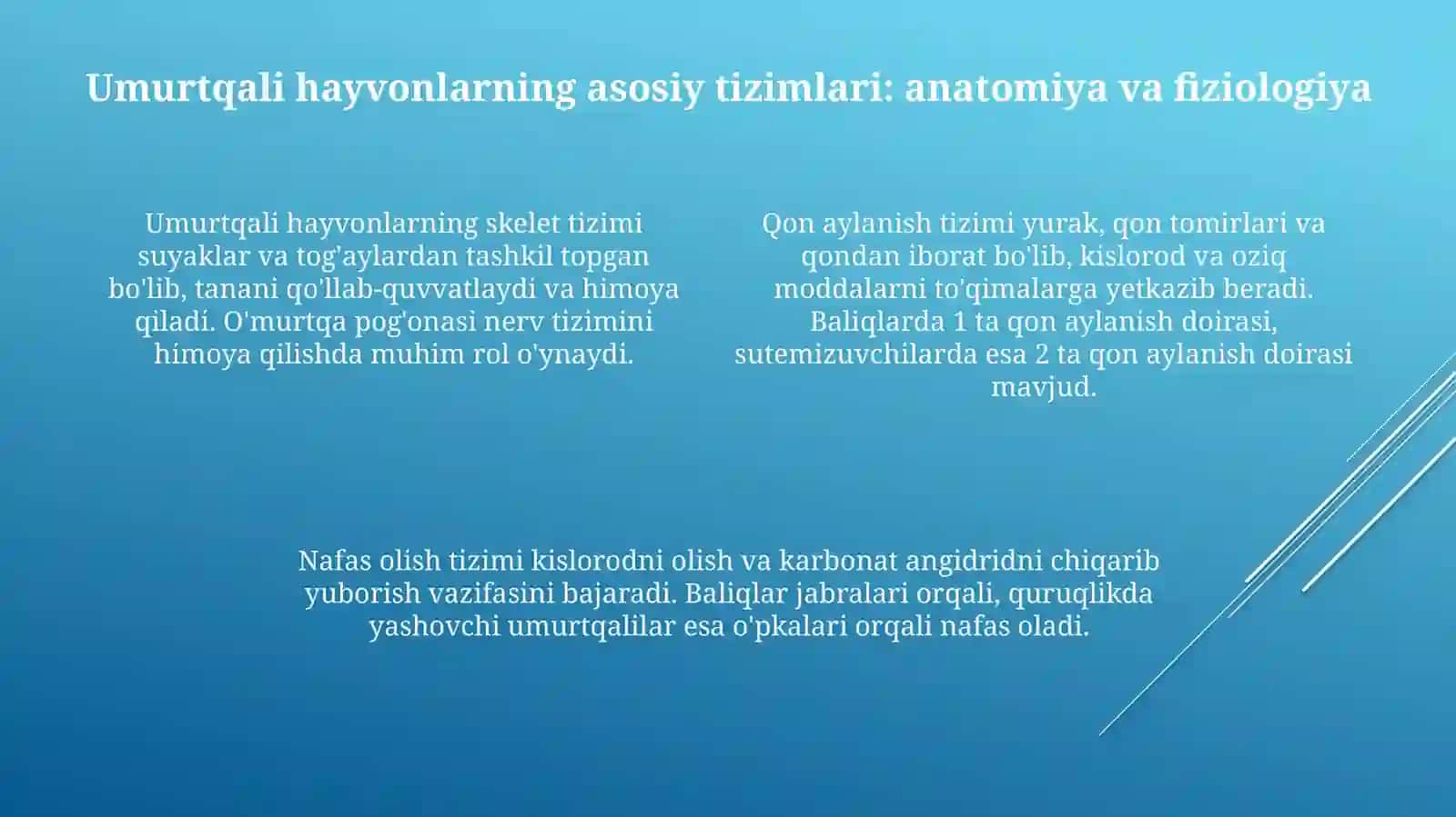 Umurtqali hayvonlar 4