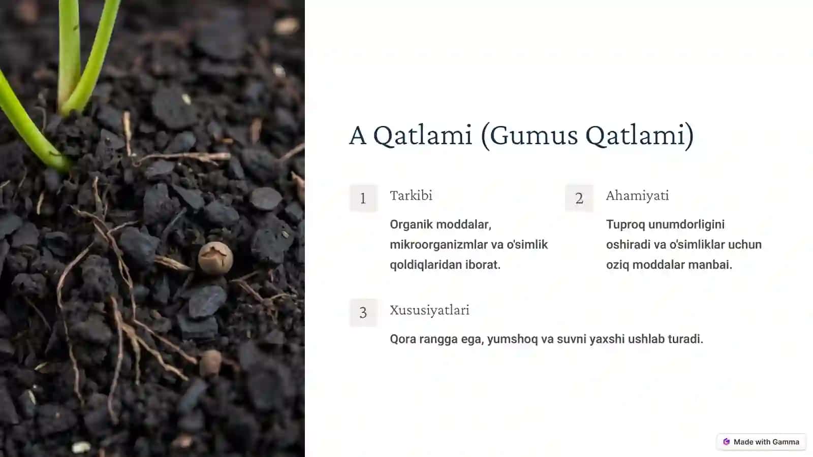 Tuproq Qatlamining Tuzilishi 4