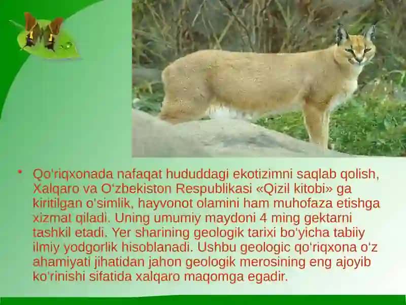 "Kitob” davlat qo‘riqxonasi 4