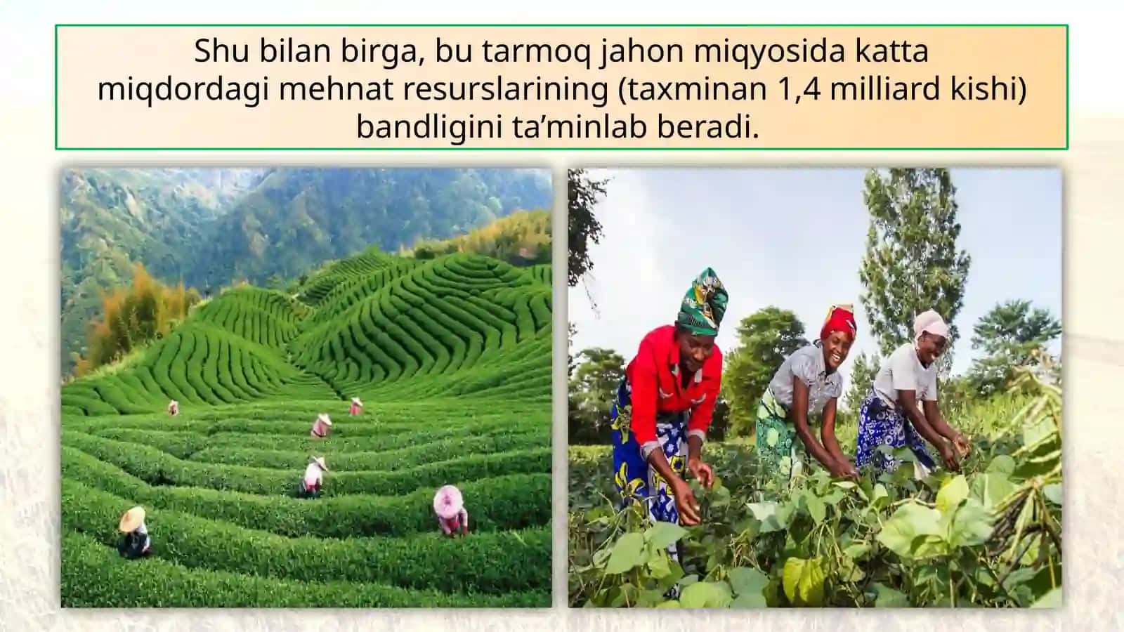 Qishloqxo‘jaligi 4