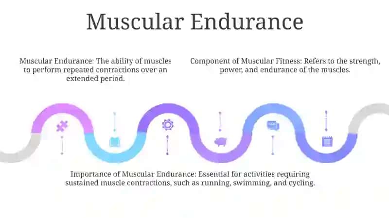 Types Of Physical Fitness 4