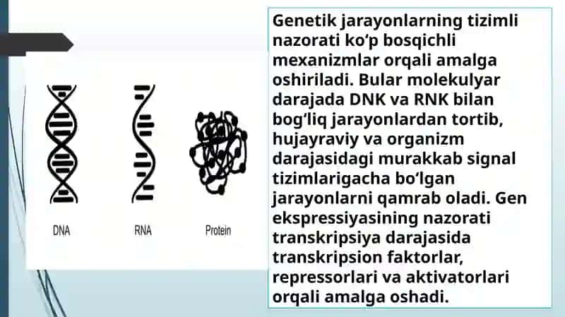Genetik jarayonlarning tizimli nazorati 4