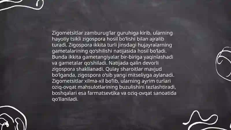 Zigometsitlarni umumiy tasnifi 4