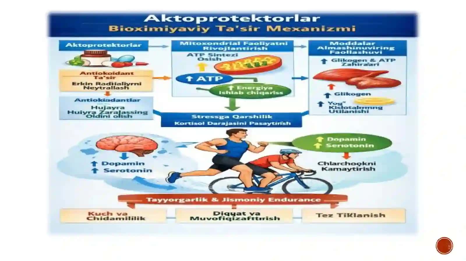 aktoprotektorlar va ularning sport tibbiyotida qoʻllanilishi 4