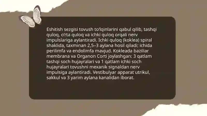 Sezgi turlari va qonunyatlari 4