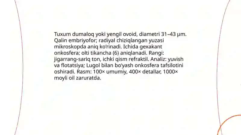 Qoʻy miyya qurti koʻpayish sikli rasmlar bilan 4