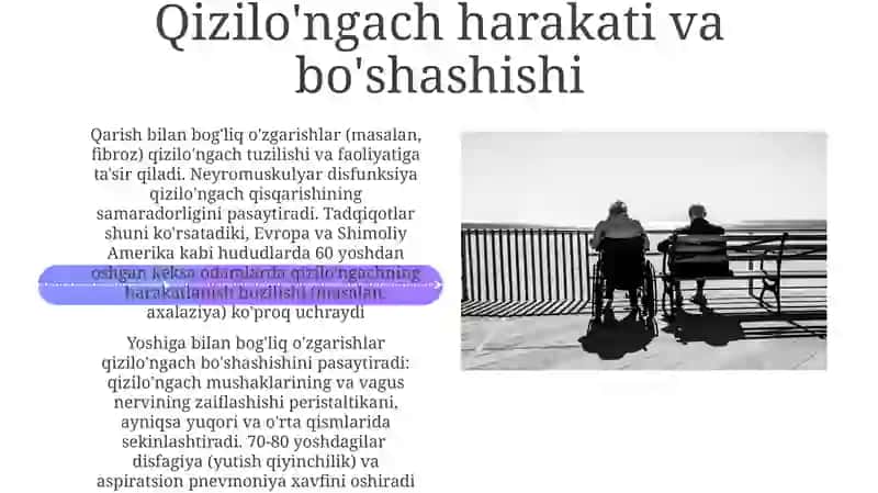 Oshqozon osti bezi fermentlari ishlab chiqarish 4