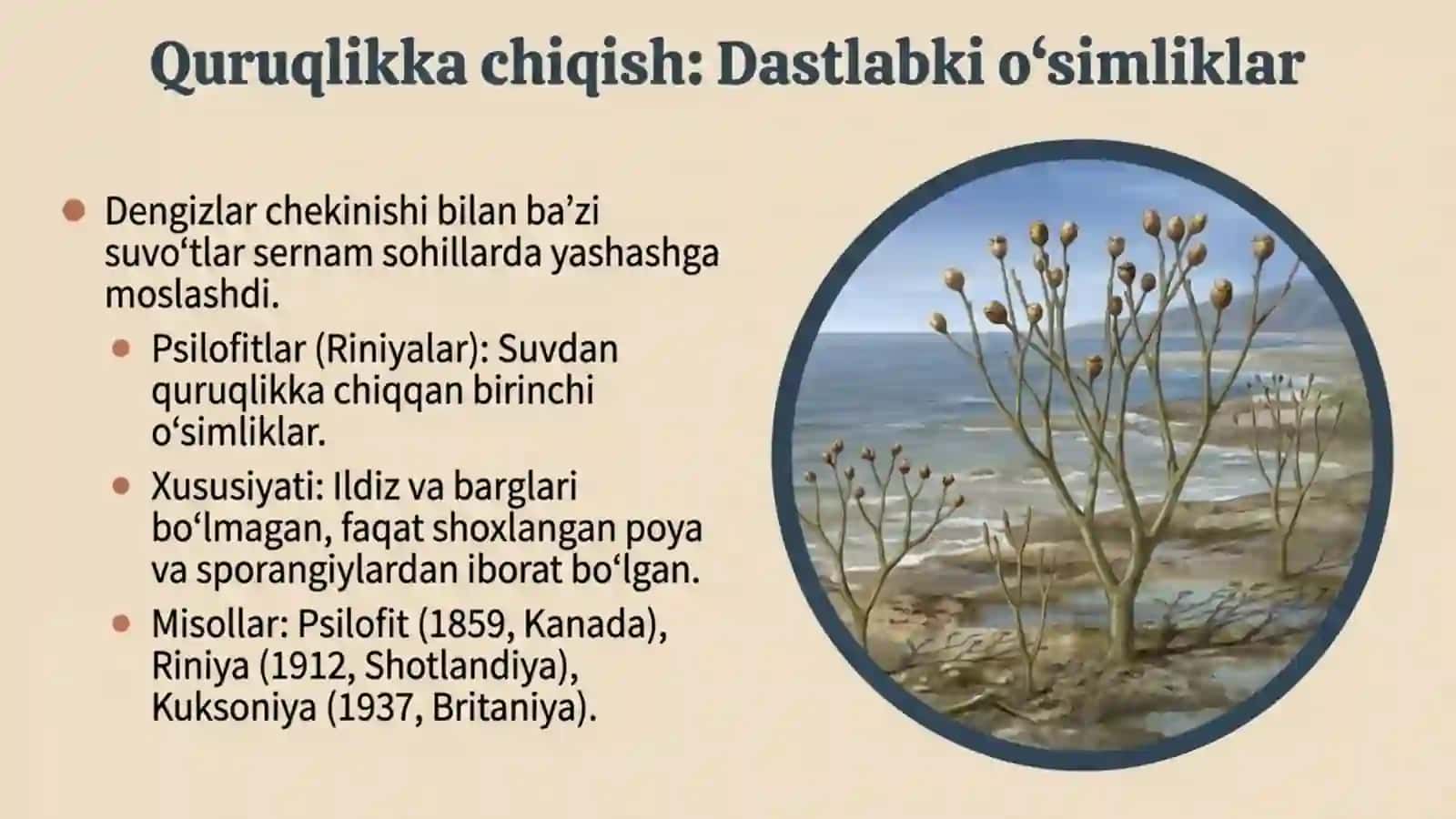 Yerda o'simliklar dunyosining rivojlanishi 4