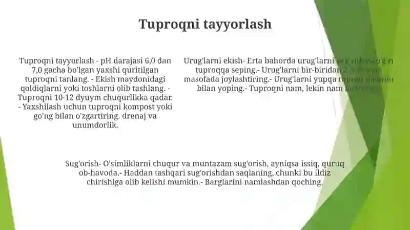 Ismaloq Yetishtirish 4