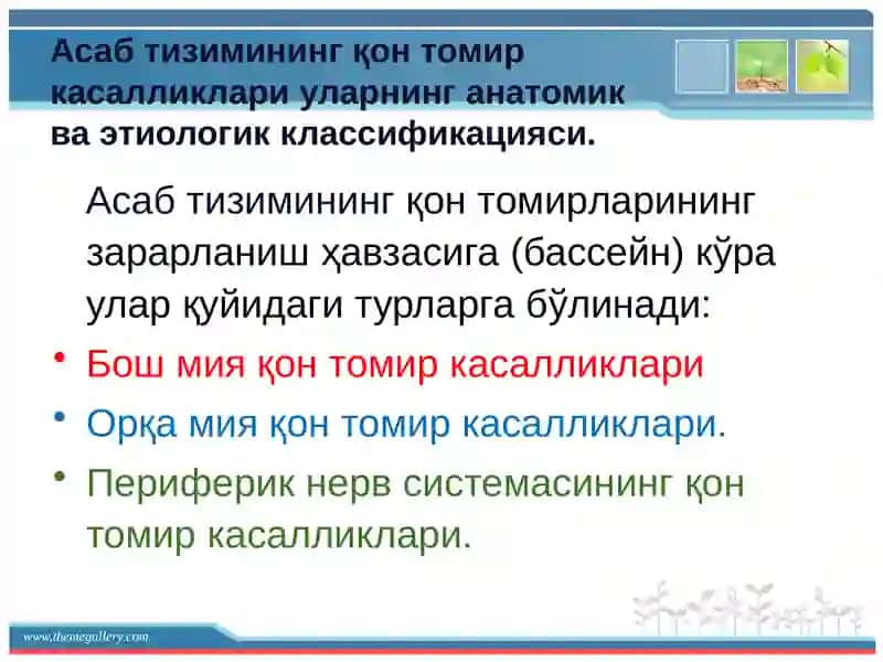 Асаб тизимининг қон томир касалликари 4