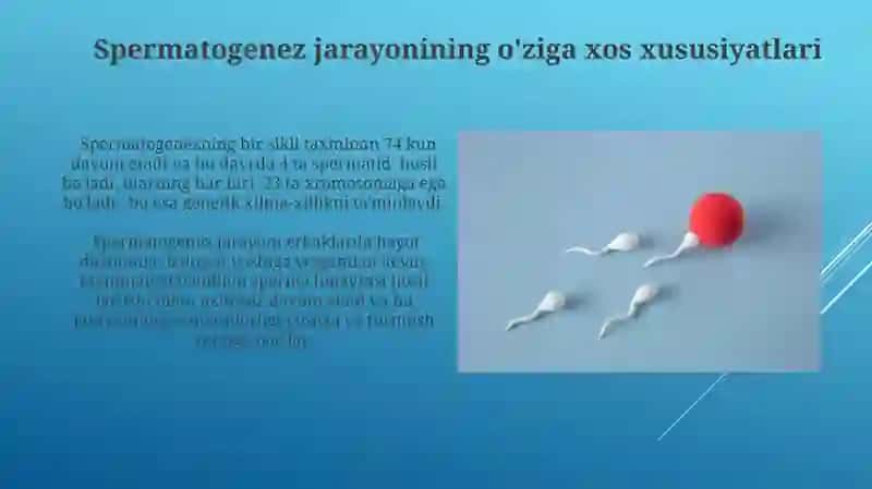 Embriogenez ta'siri 4