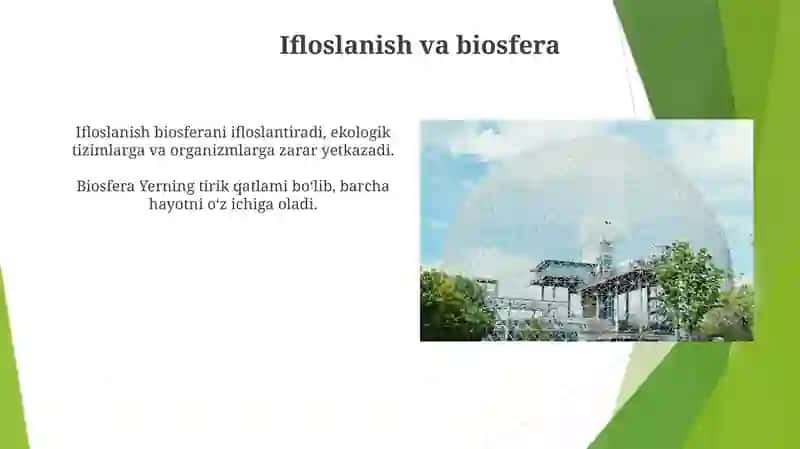 Yerning geografik qobig‘i. Biosfera 4