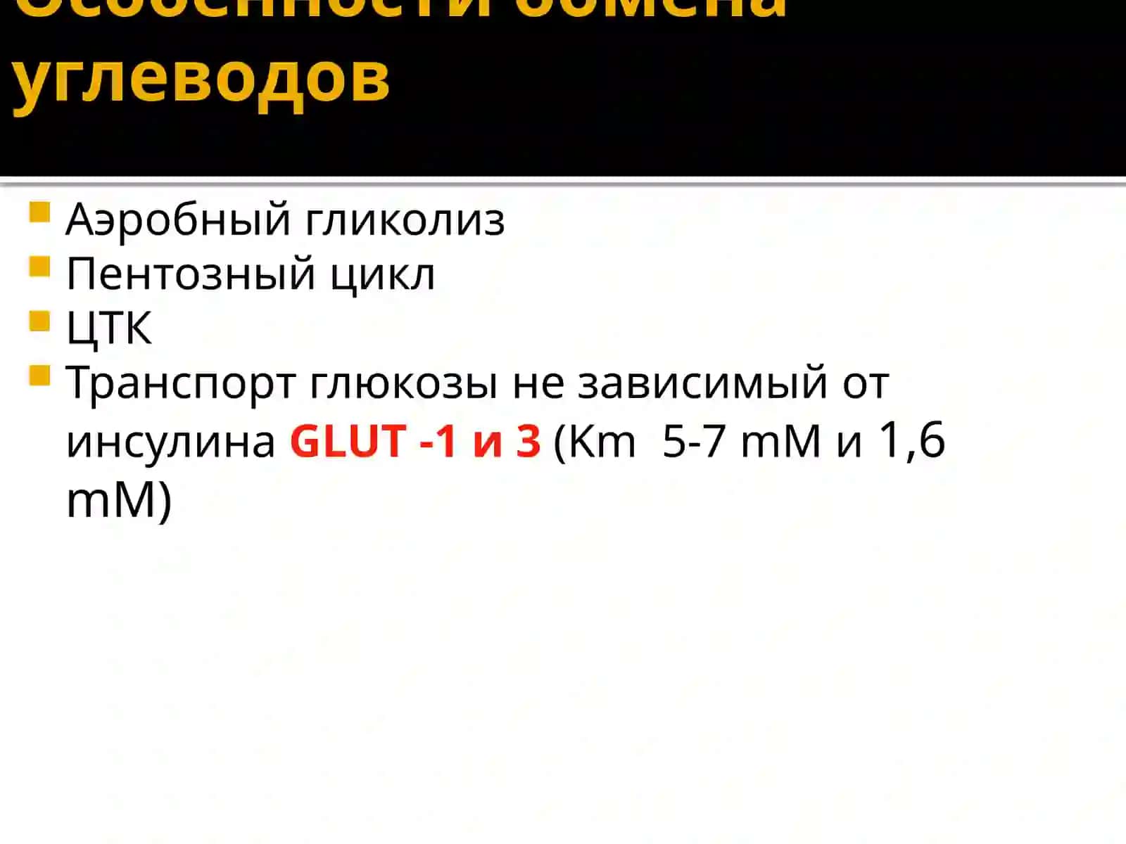 Биохимия нервной системы 4