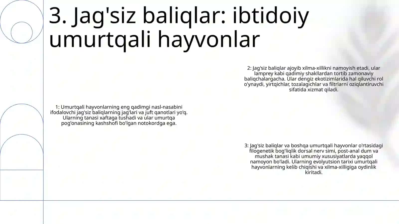 Umurtqali Hayvonlar Dunyosining Filogenetik Bog‘Lanishi 4