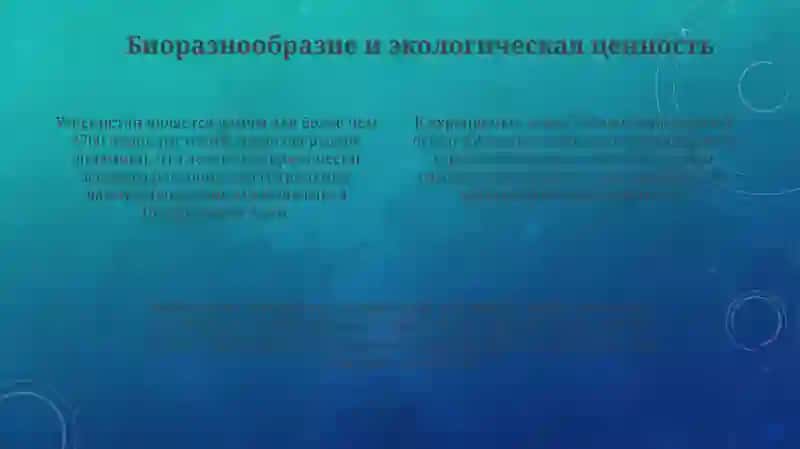 Заповедные места Узбекистана 4