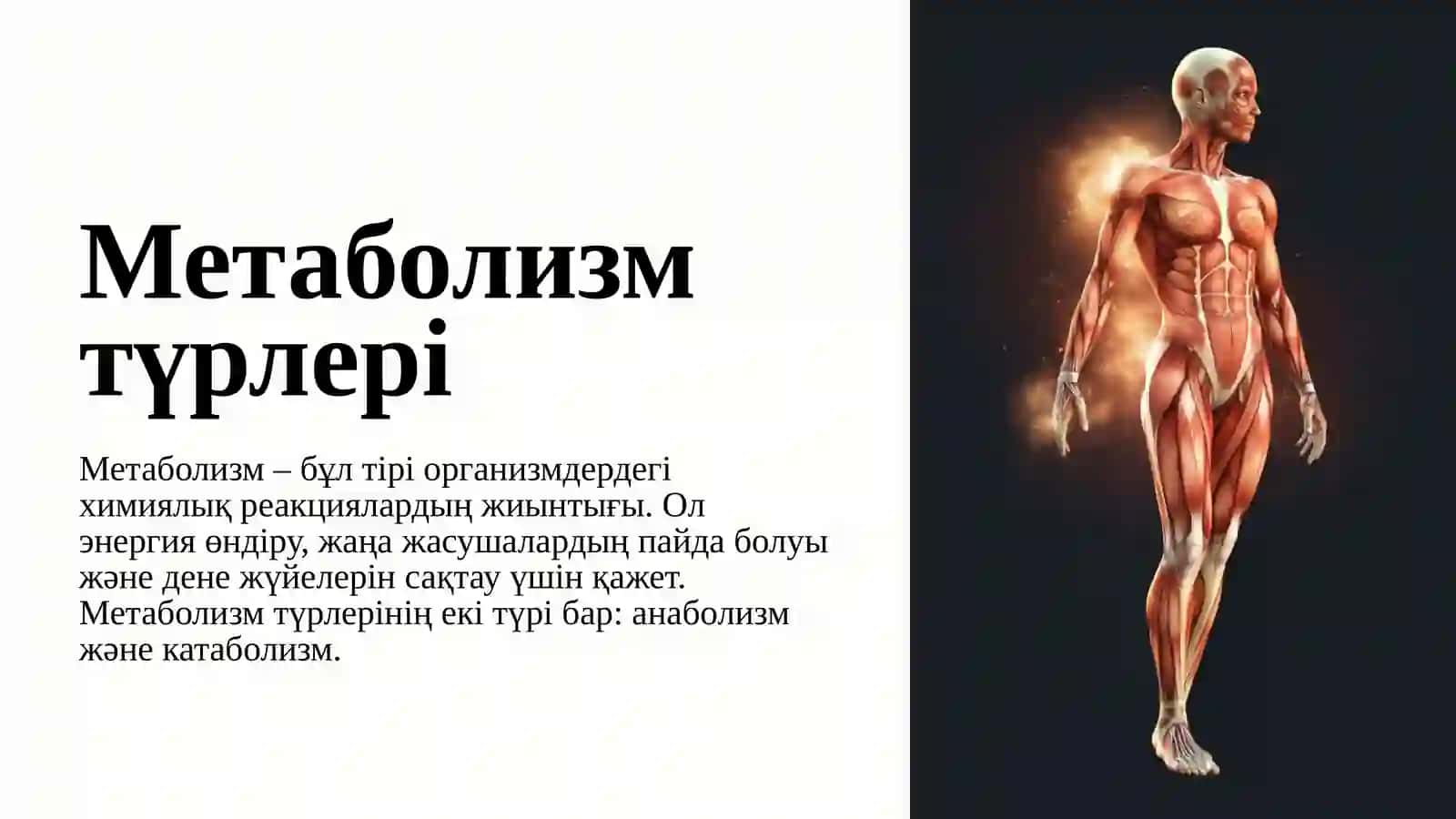 Жылы лебіз тренингі 4